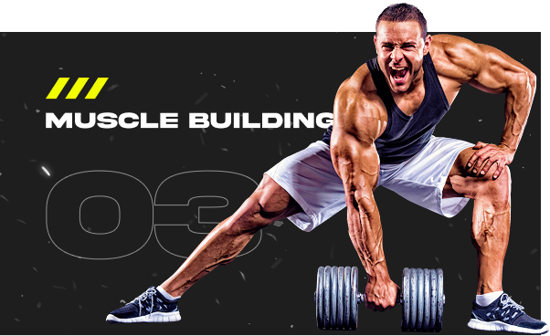 Muscle Building